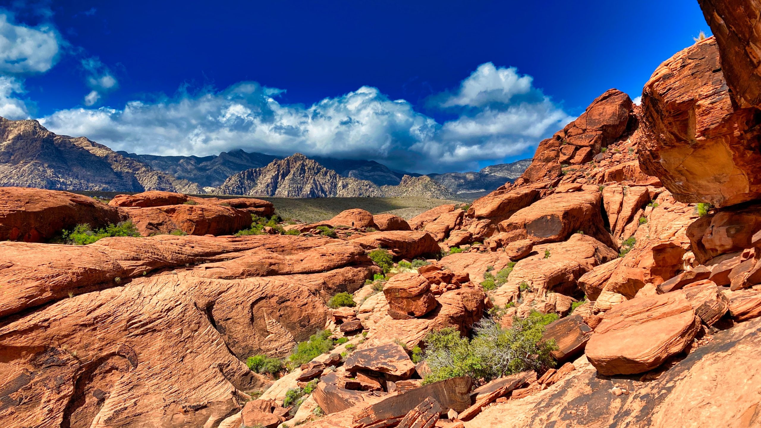 Las Vegas Outdoor Activities - Red Rock